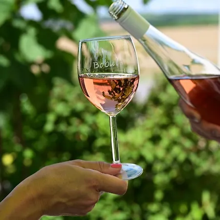 U Rane Bobule * Зноймо