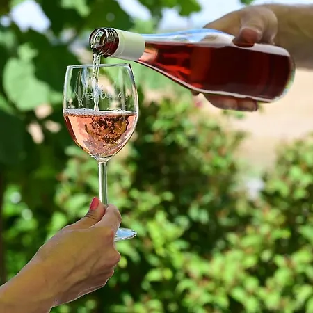 Апартаменты U Rane Bobule Зноймо