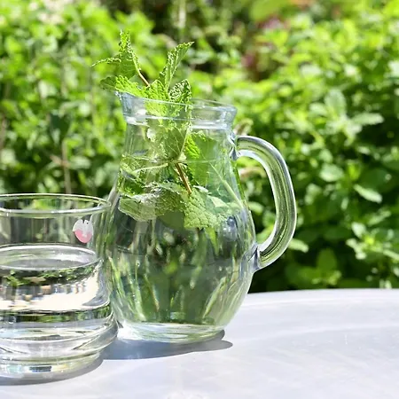 U Rane Bobule Апартаменты