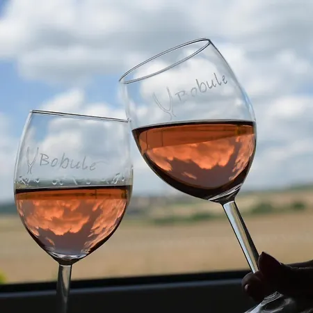 Апартаменты U Rane Bobule Зноймо