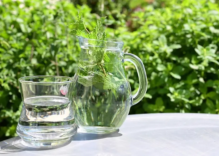 U Rané Bobule Apartman