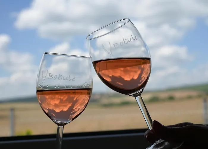 Apartman U Rané Bobule Znojmo